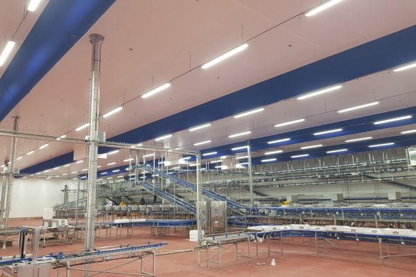 20210123 100236 Groot