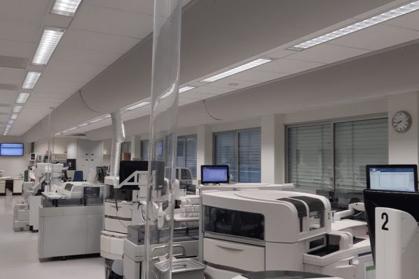 20241025 084104 Groot