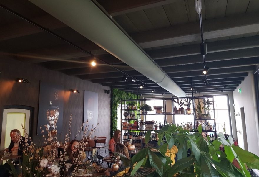 Horeca 4 Groot