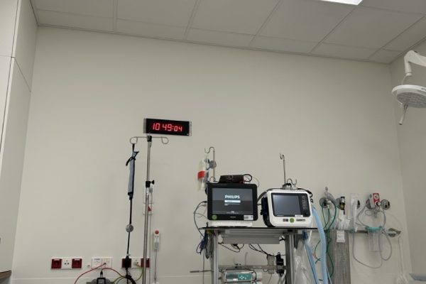 IMG 0683 Groot