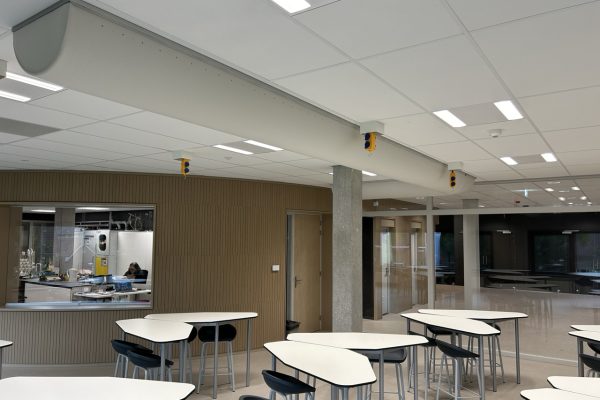 IMG 8604 Groot