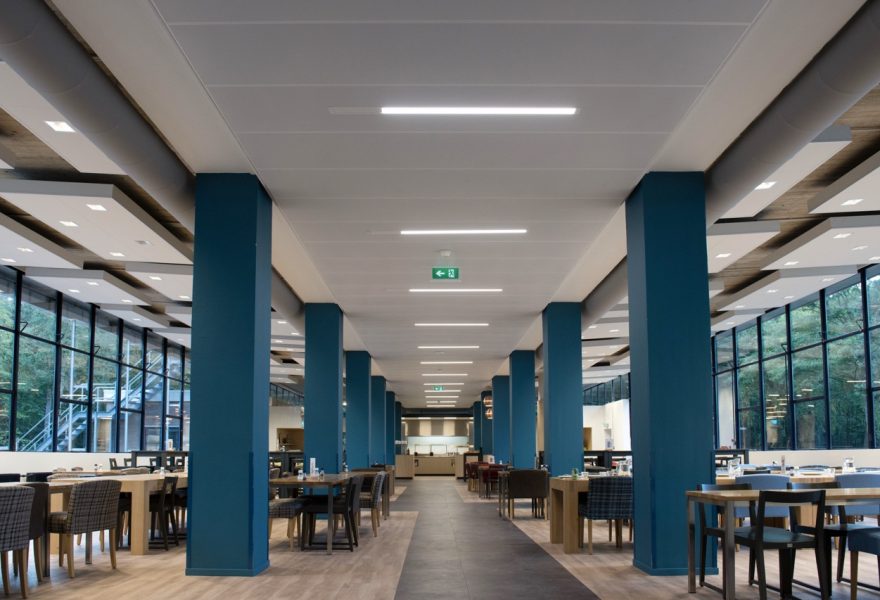 Slang Met Interne Ringen (geen Naam) Groot